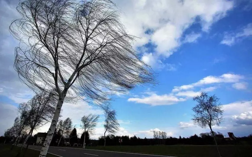 Küləyin sürəti artıb - FAKTİKİ HAVA