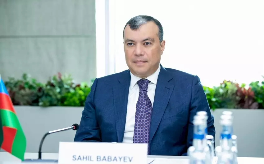 Sahil Babayev: "İxtisaslı şəxslərin fərdi məşğulluq proqramlarına cəlb olunmasını hədəfləyirik"