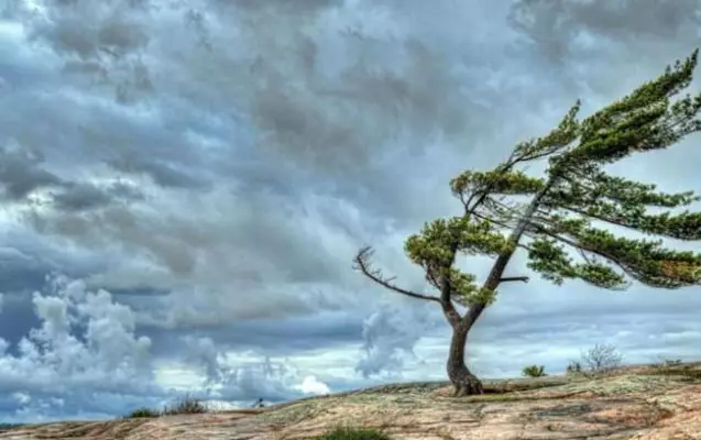 FHN hava ilə bağlı əhaliyə müraciət etdi