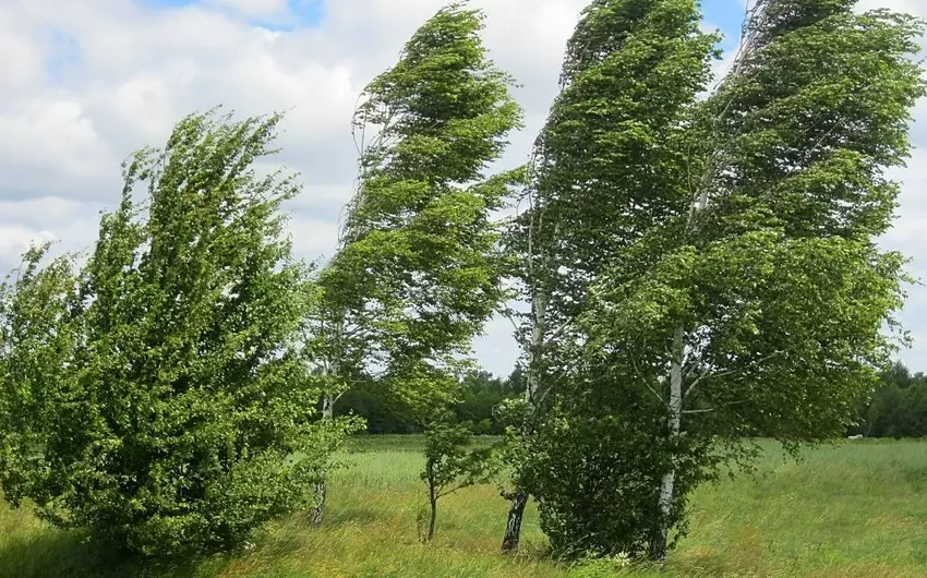 Əksər bölgələrdə küləkli və yağıntılı hava şəraiti müşahidə olunur - FAKTİKİ HAVA