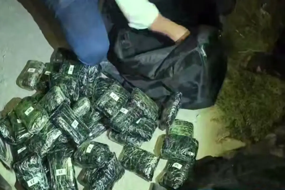 Özbəkistanda 111 kiloqram narkotik vasitə müsadirə edib