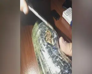 Onlayn yolla narkotik alan şəxs saxlanılıb