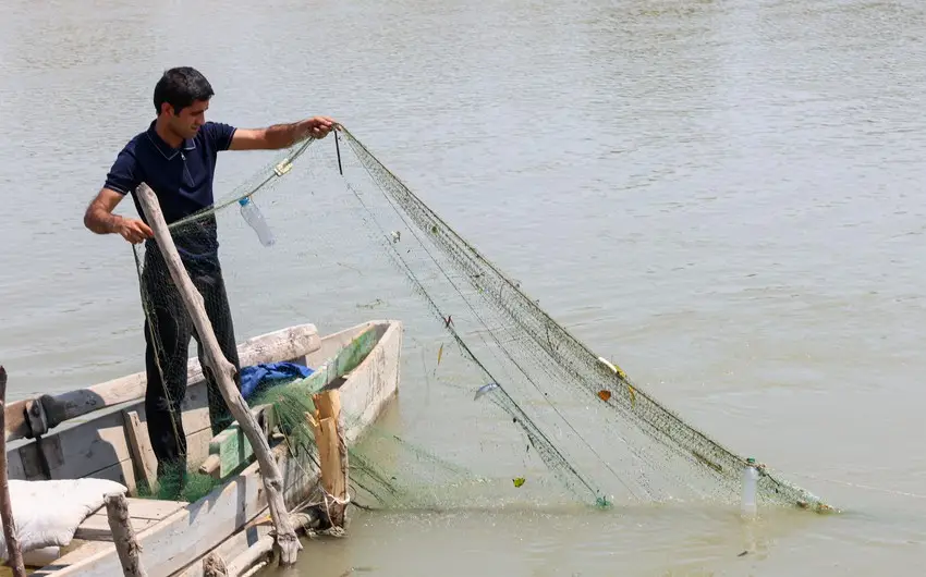Kür çayında sintetik torlardan qanunsuz istifadə aşkarlanıb