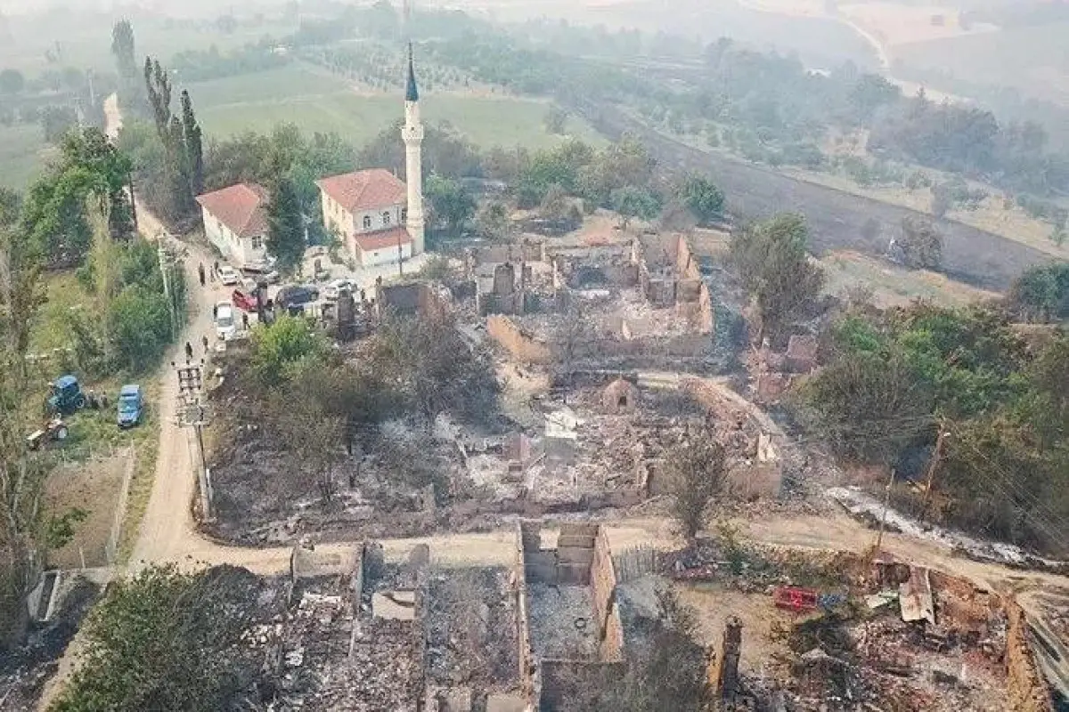 Türkiyənin bəzi bölgələrində güclü meşə yanğınları baş verib