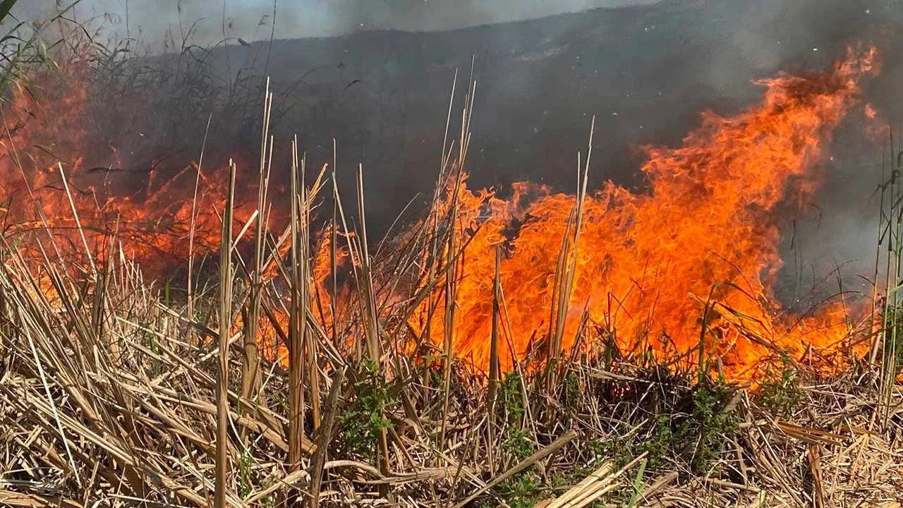 Suspect detained for arson in Aghdam