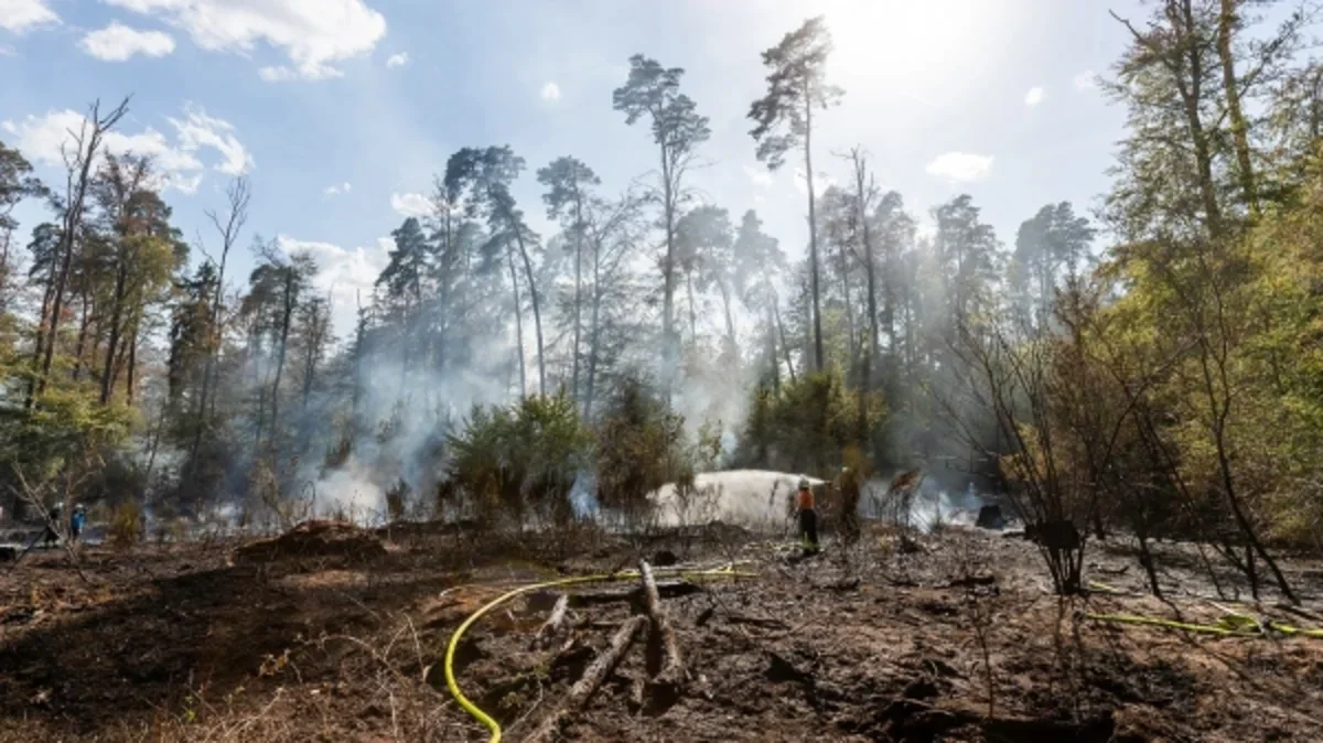 2,000 evacuated as forest fire spreads in Germany's North Rhine-Westphalia