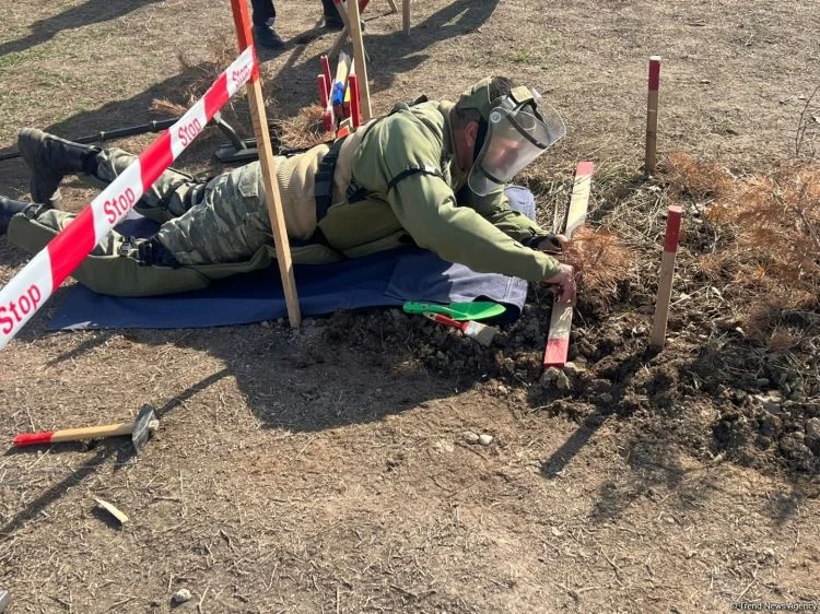 ANAMA: 4264 hektar ərazi təmizləndi