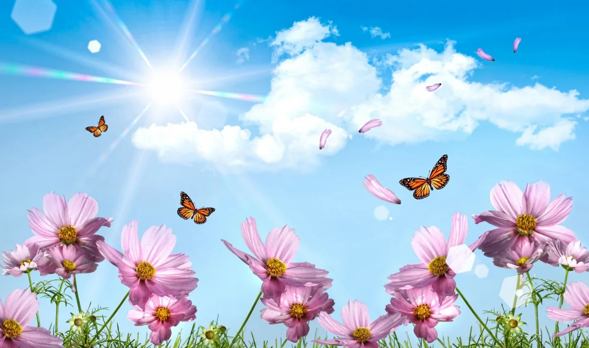 Temperature to reach 22 degrees in Azerbaijan on April 30