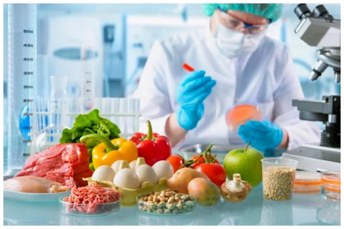 Azərbaycan ərzaq üçün 504 milyon xərclədi