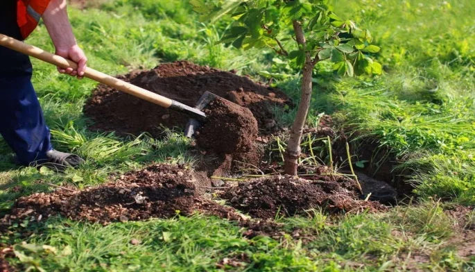Azerbaijan introduces new regulations for land consolidation