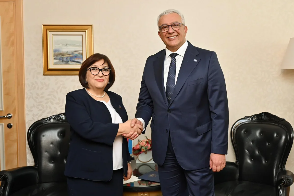 Azerbaijan and Montenegro parliament speakers meet