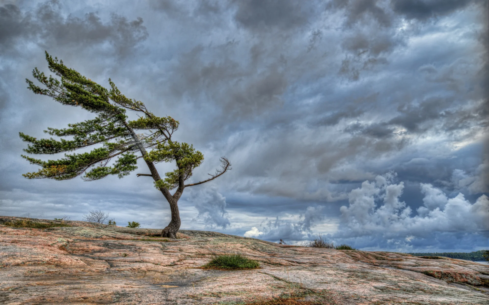 Azerbaijan issues weather warnings for strong winds