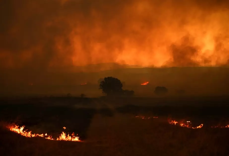 Yunanıstanda meşə yanğınları 28 nəfərin həyatına son qoyub