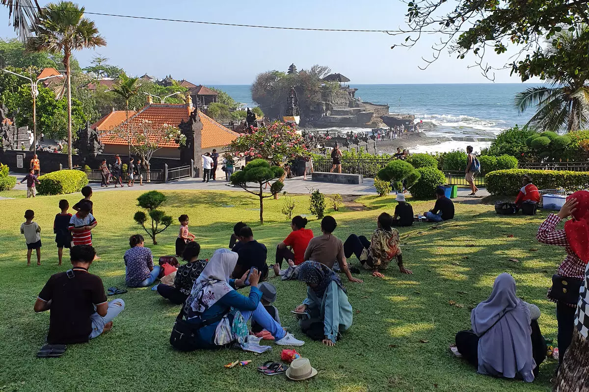 İndoneziya meymunçiçəyinə görə ölkəyə giriş qaydalarını sərtləşdirir