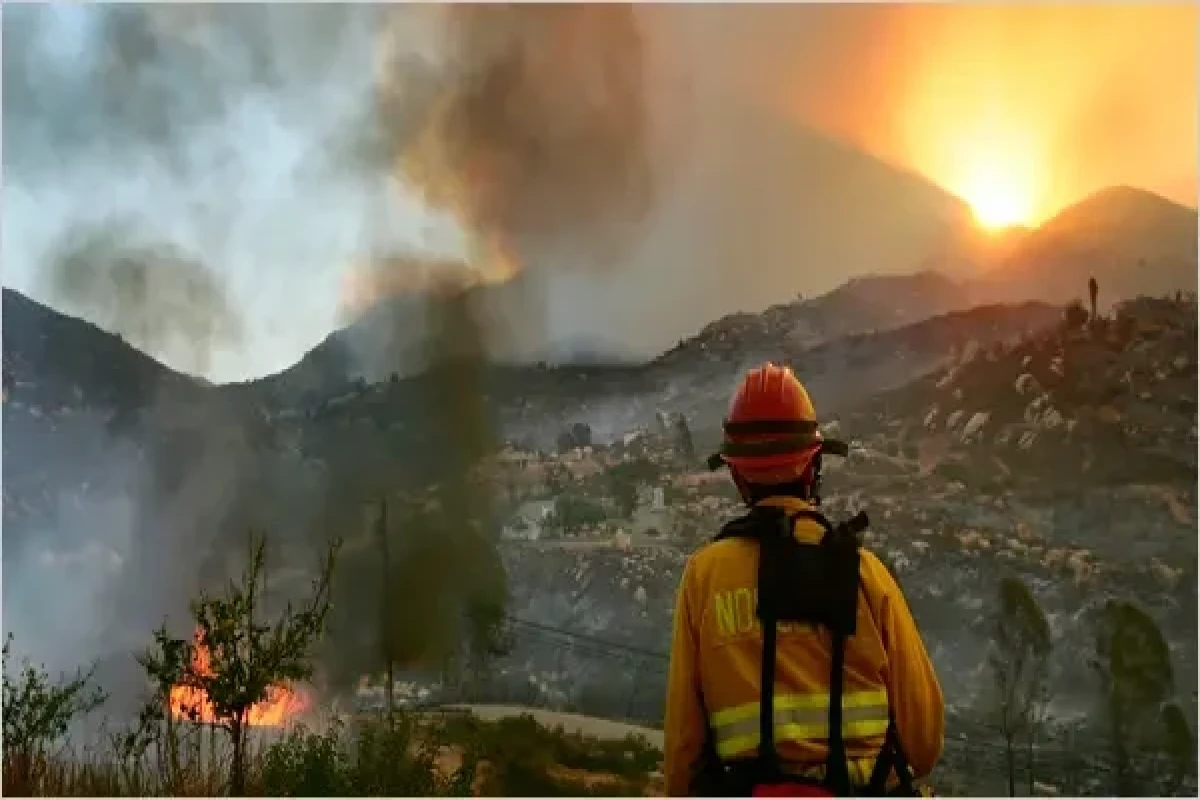 Havay adalarında meşə yanğınlarında ölənlərin sayı 36-ya çatıb