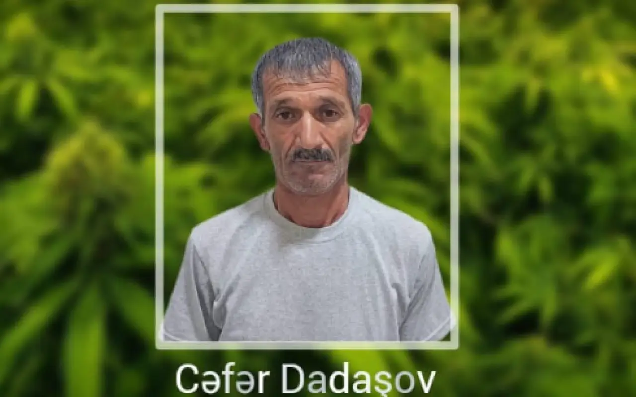 Həyətində narkotik bitkilər yetişdirən şəxs saxlanılıb