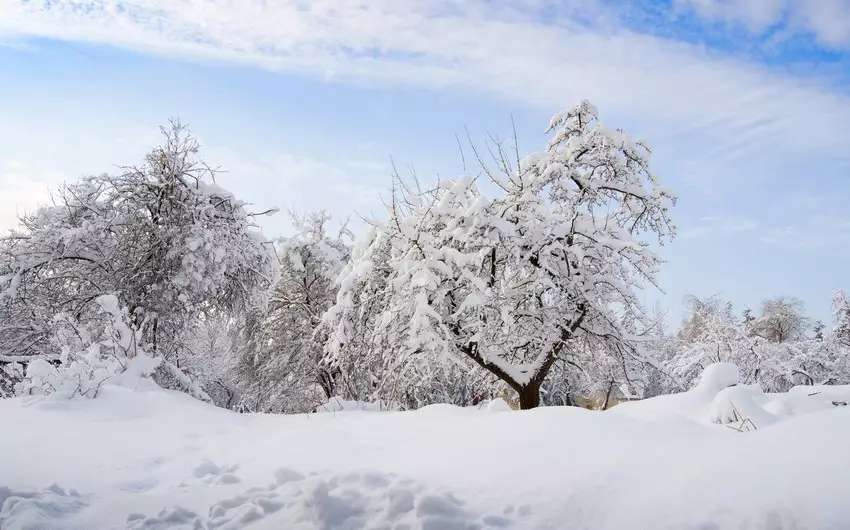 Şənbə günü qar yağacaq