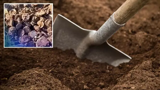 Tarlada işləyərkən xəzinə tapdı