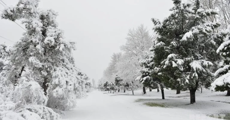 Snow Depth Exceeds One Meter in Azerbaijan Amid Cold Wave
