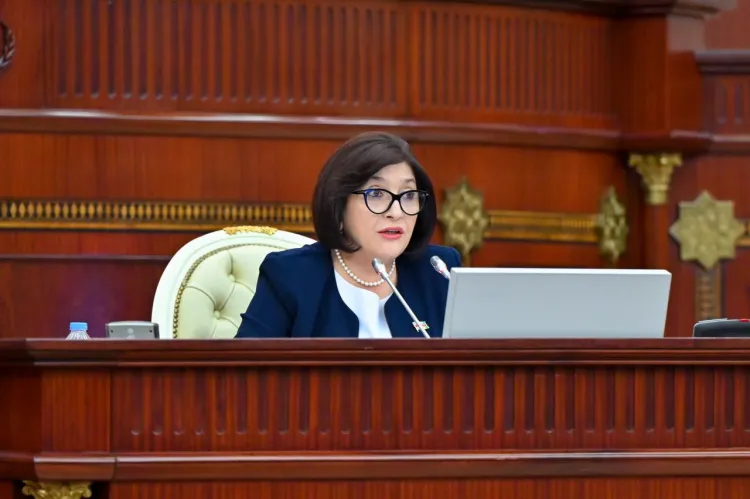 Sahibə Qafarova beynəlxalq konfrans barədə məlumat verdi