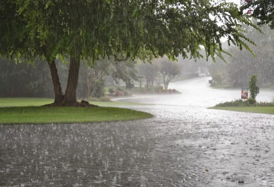 Bakıda və bölgələrdə leysan yağacaq - PROQNOZ