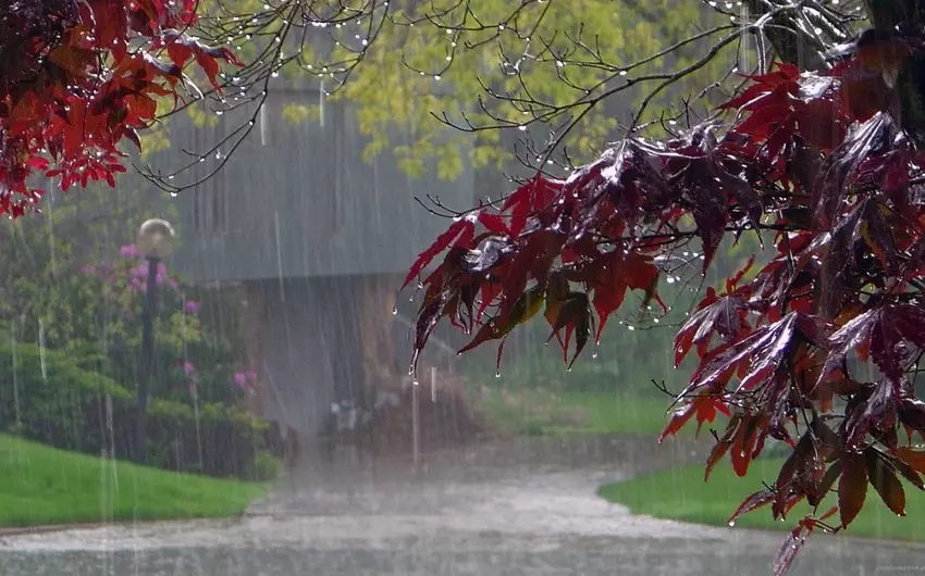 Hava ilə bağlı xəbərdarlıq edildi