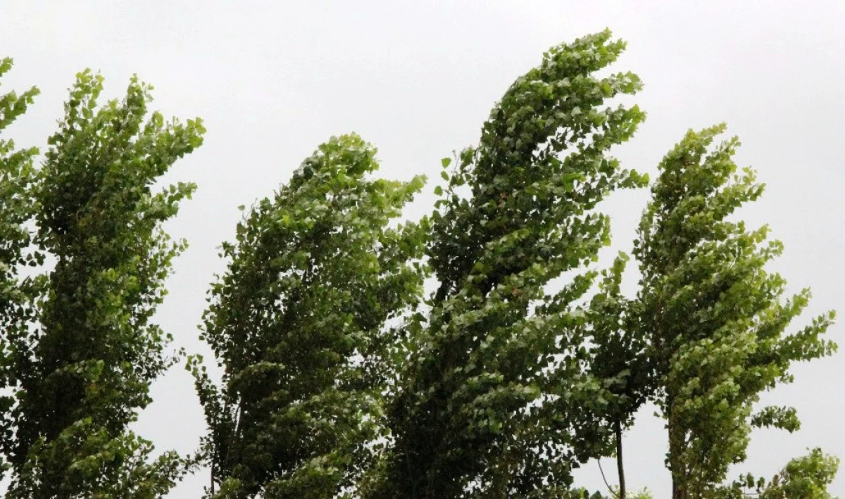 Strong winds and unstable weather persist across Azerbaijan