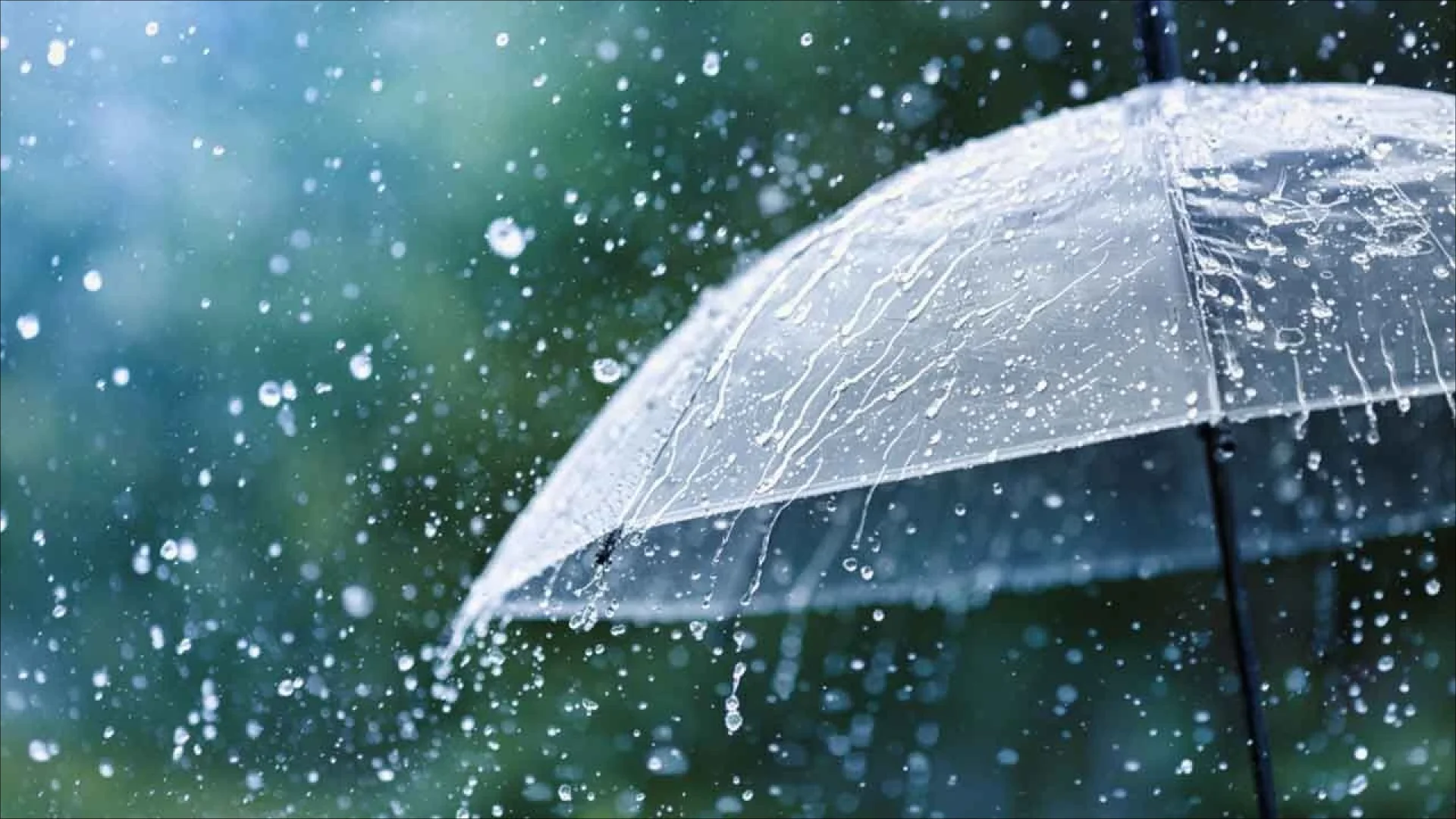Heavy rainfall hits Baku as monthly norm exceeded by 279%