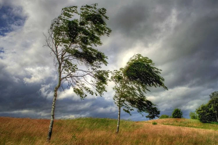 Weather warning issued for Baku and regions due to strong winds