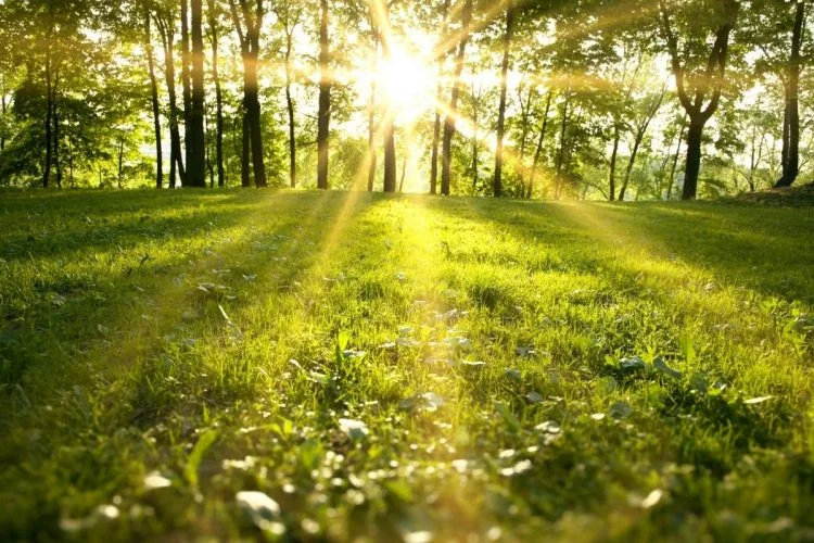 Bakı və rayonlarda hava necə olacaq?