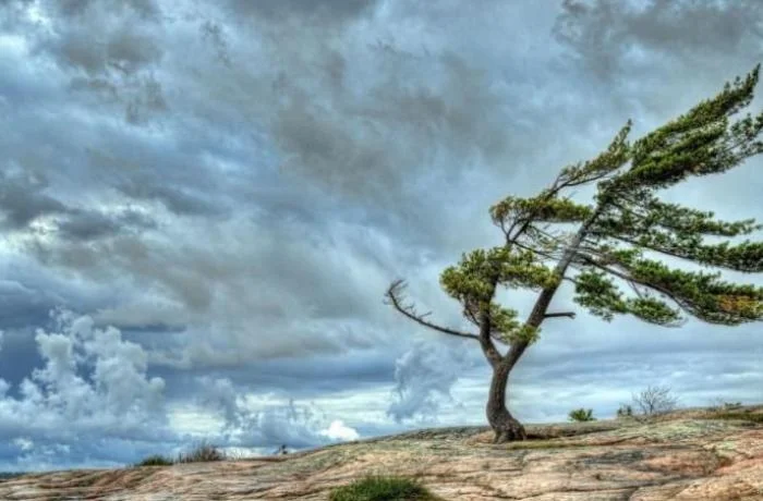 Strong winds reach 28 m/s in Baku and Absheron peninsula