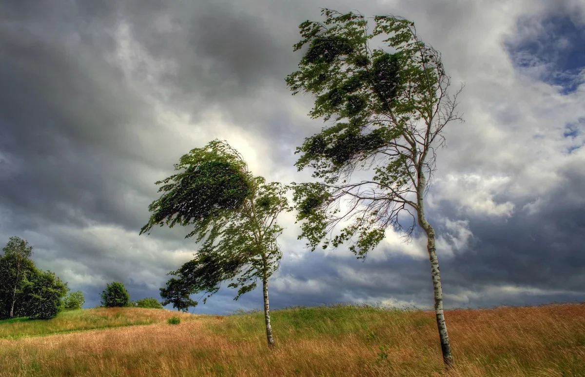 Bakıda və rayonlarda külək güclənəcək