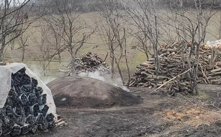 Qubada qanunsuz kömür quyusu aşkarlanıb