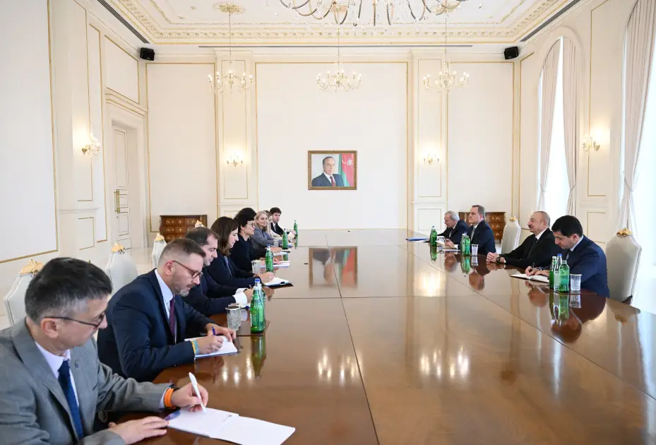 Prezident qəbul keçirdi - FOTOLAR