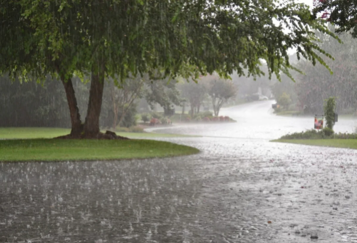 Bəzi rayonlarda yağış yağacaq, şimşək çaxacaq