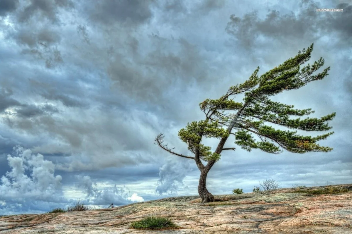 Azerbaijan issues yellow weather warning for strong winds