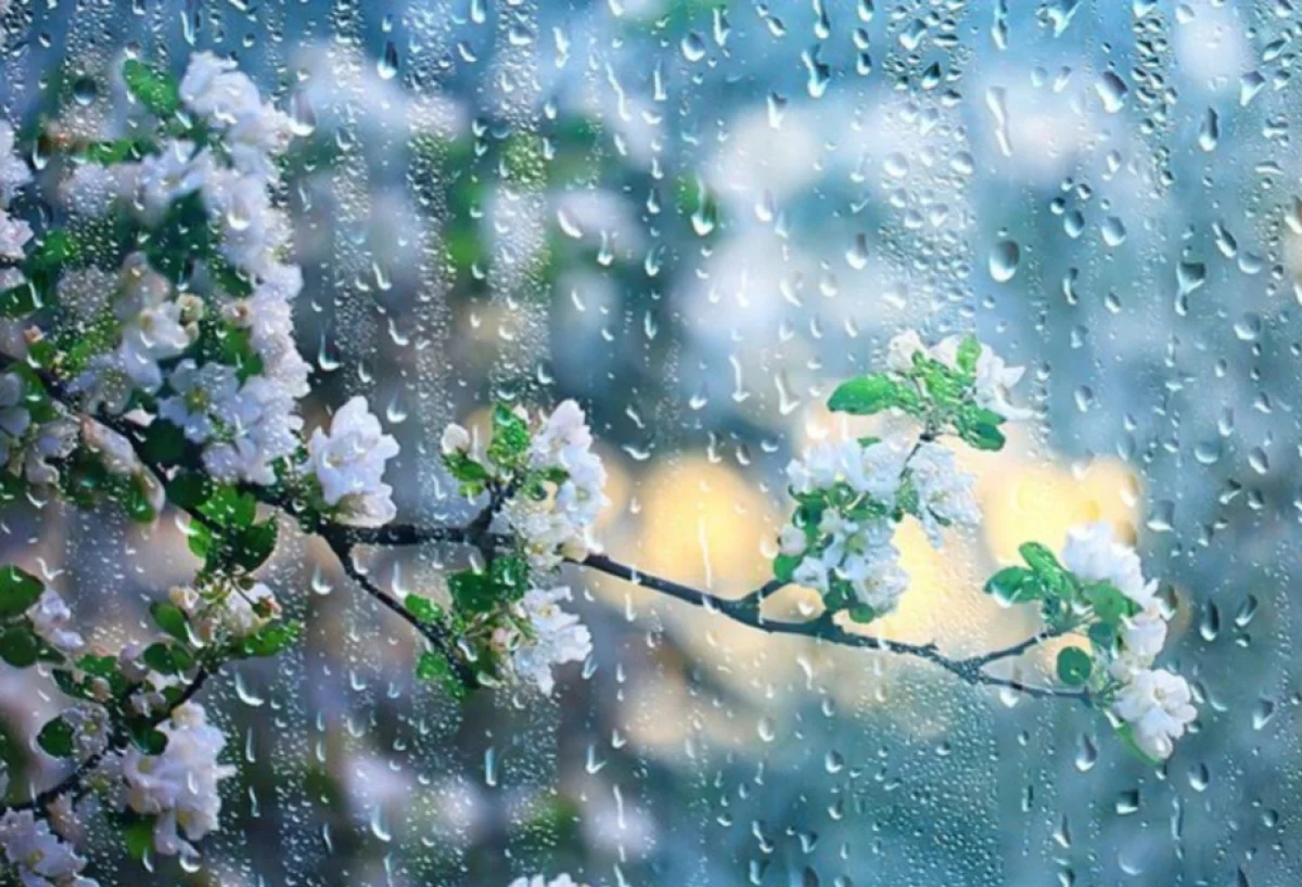 Bəzi yerlərdə qısamüddətli yağıntılar gözlənilir