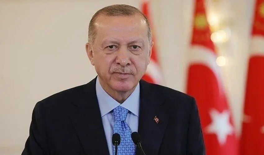 Ərdoğan: Gürcüstan-Azərbaycan sərhədində baş vermiş təyyarə qəzasının səbəbləri araşdırılır