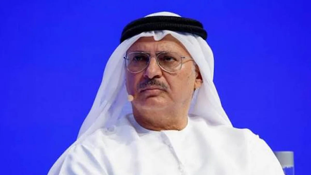 UAE official calls for new political solutions in Gulf region