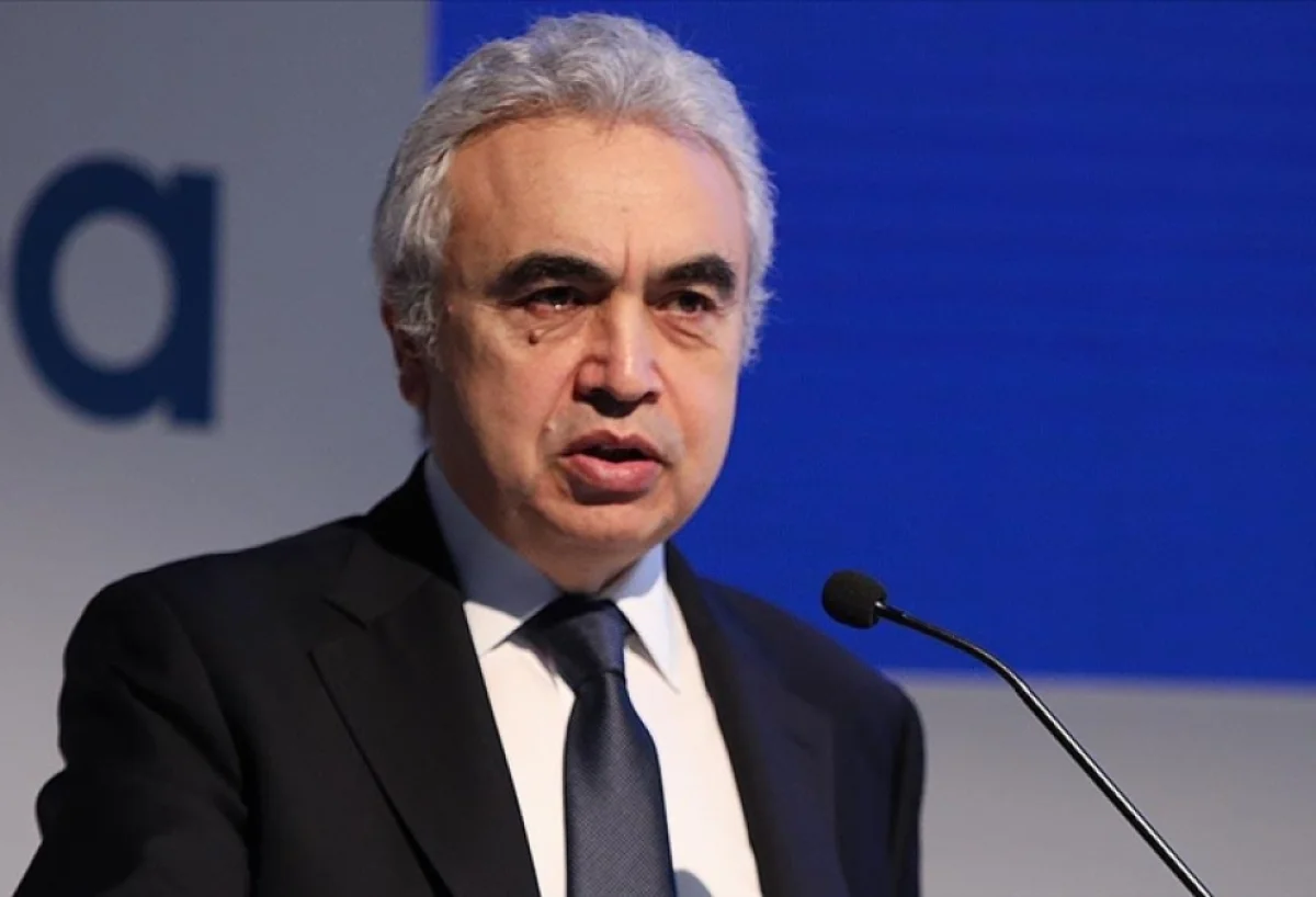 "Bu, tarixin ən böyük enerji böhranına səbəb oldu"