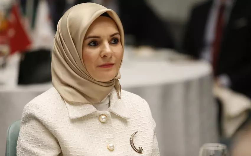 Türkiyəli nazir: TDT regiondakı sülh və sabitliyə ciddi töhfə verir