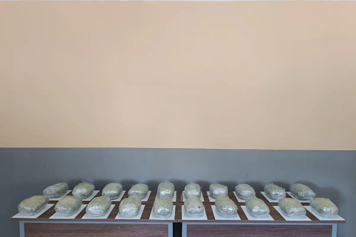 Ölkə ərazisinə 22 kiloqram narkotikin keçirilməsinin qarşısı alınıb