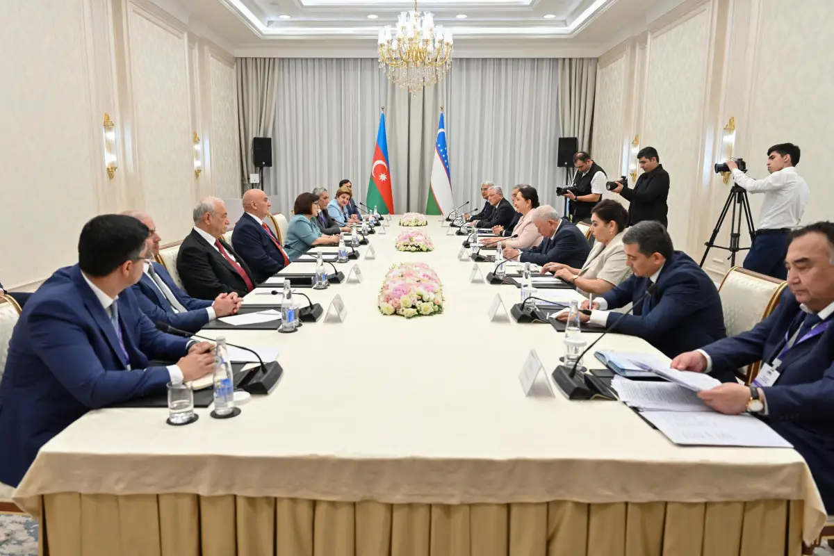 Sahibə Qafarova Özbəkistan Ali Məclisi Senatının sədri Tənzilə Narbayeva ilə görüşüb