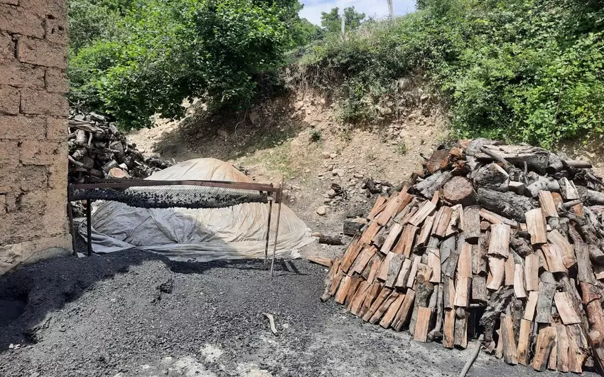 Qubada qanunsuz kömür quyusu aşkarlanıb