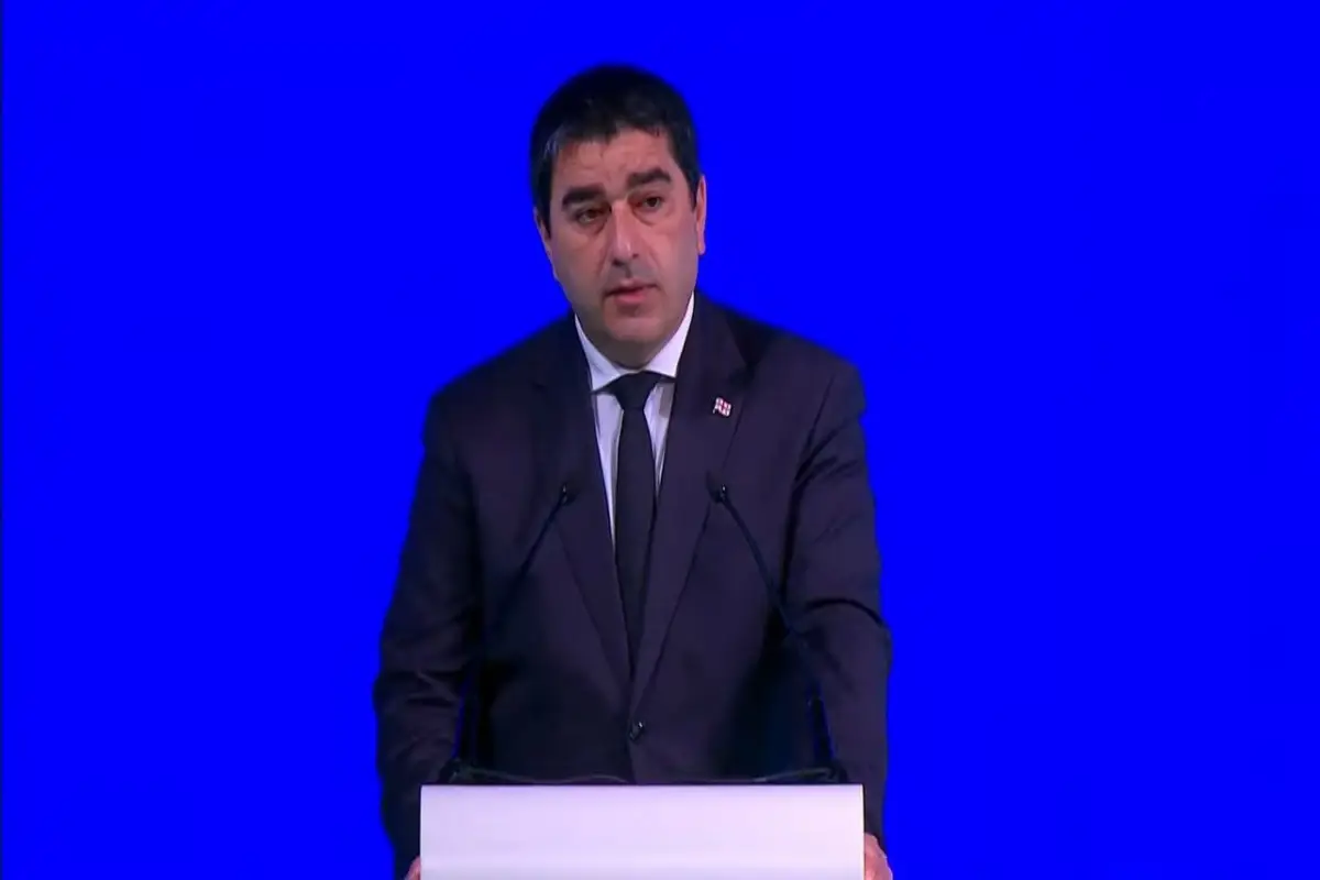 Papuaşvili Gürcüstanın Avronest PA-nın sessiyasına qatılmamasına aydınlıq gətirdi