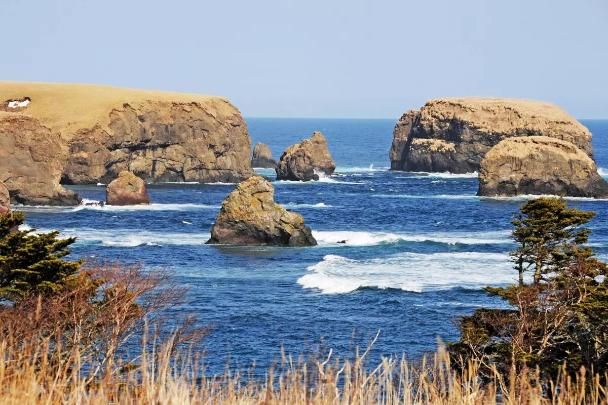 Şimali Kuril adaları yaxınlığında zəlzələ baş verib