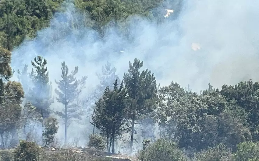 Osmaniyədə meşə yanğını başlayıb