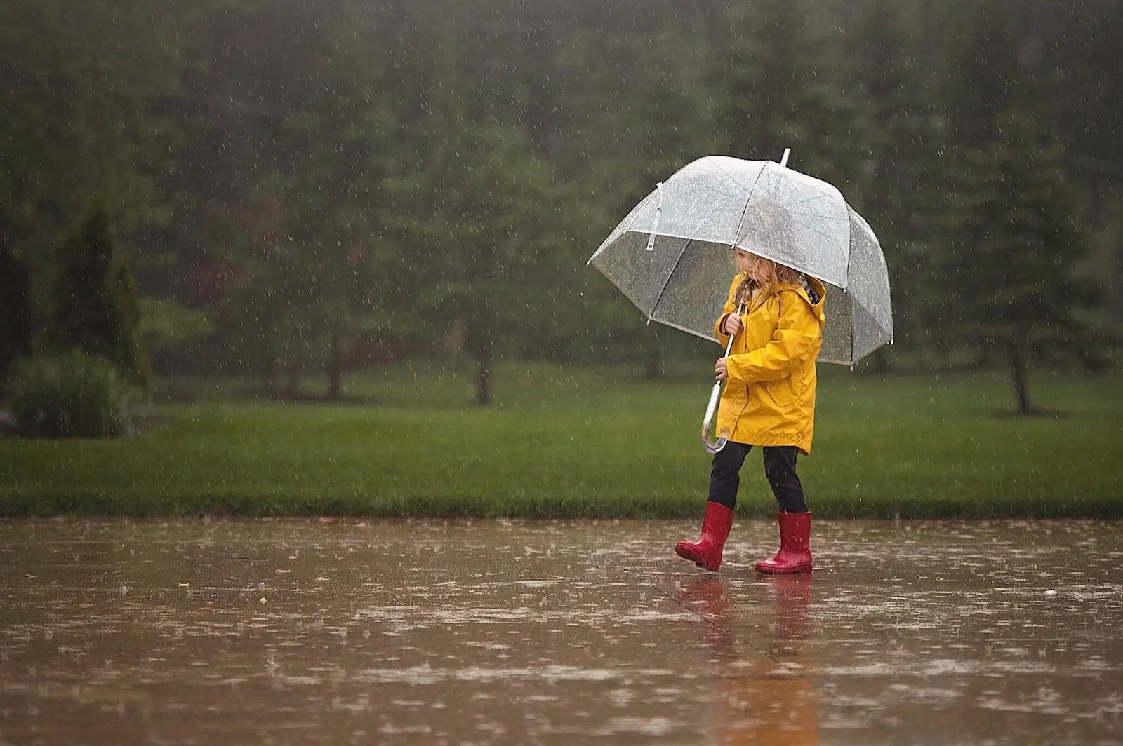 Sabahın hava proqnozu açıqlanıb