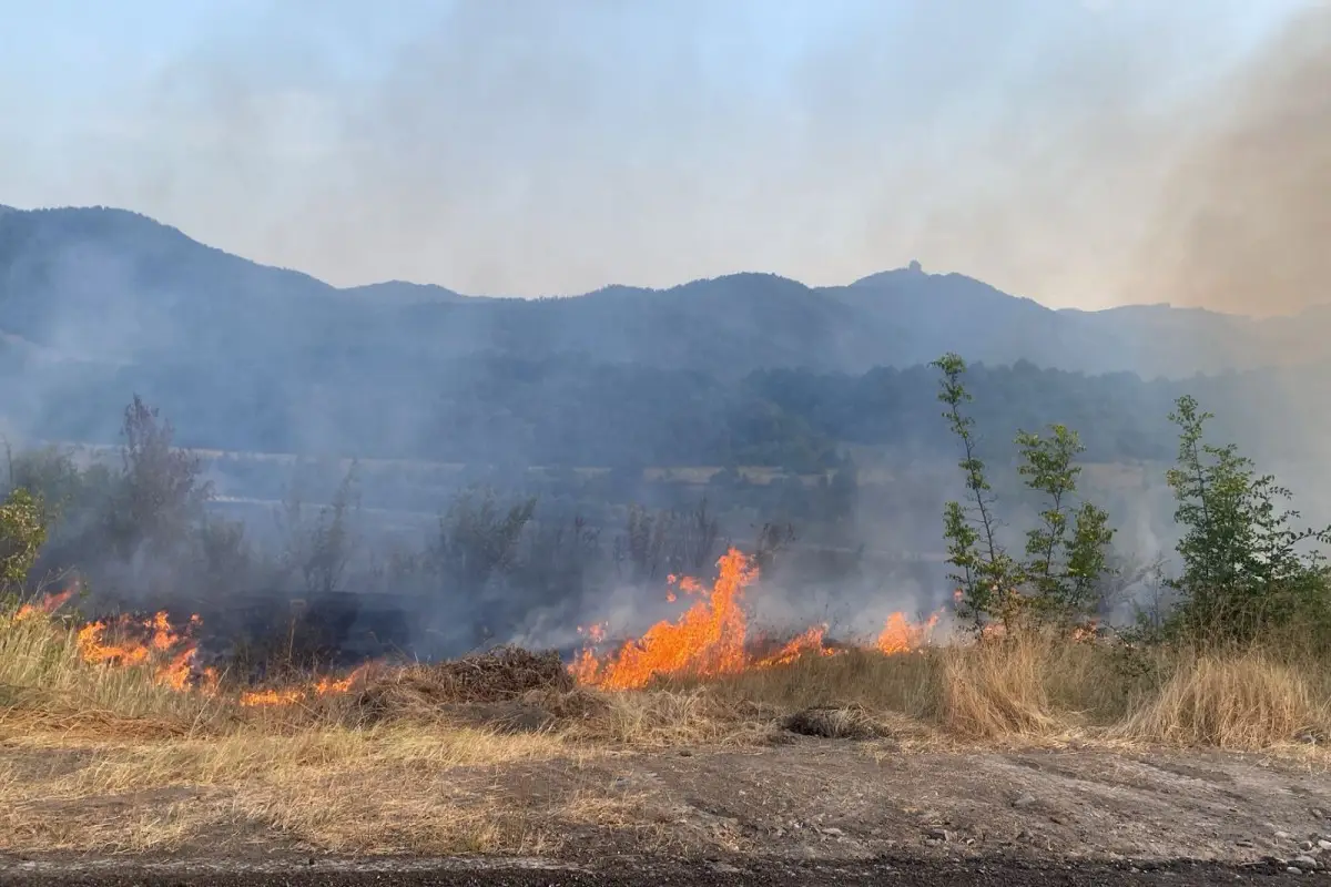 Ağdərədə yanğın törədən şəxs saxlanılıb