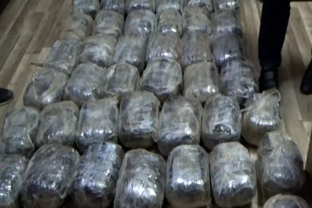 Narkoşəbəkəyə qarşı əməliyyatda 10 nəfər saxlanılıb, 75 kq narkotik aşkarlanıb - VİDEO